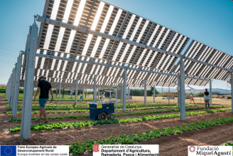 Agròpolis SC25 328x219 (1).png