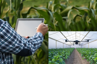 Seminari científic SC25 328x219.png