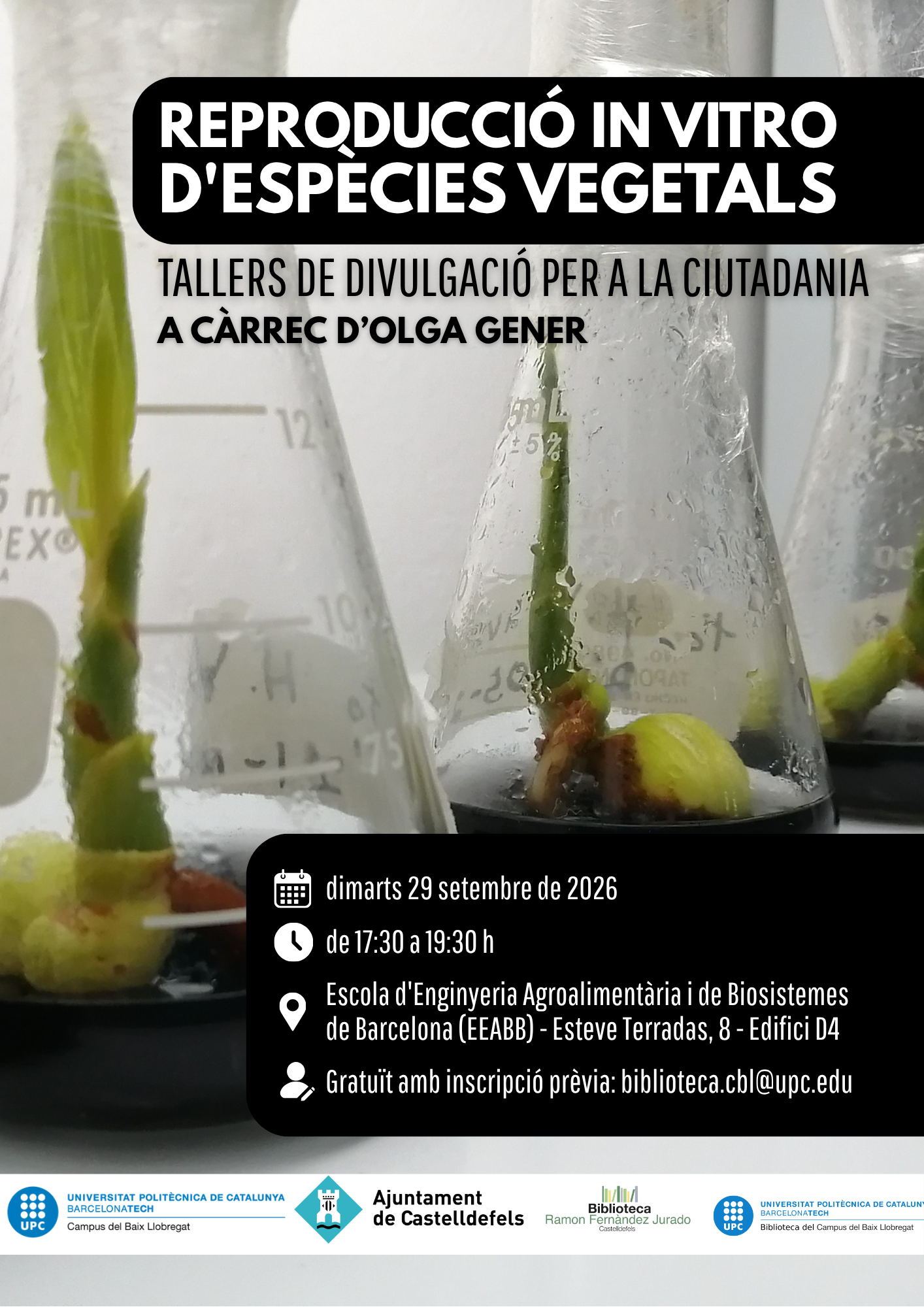 Taller in vitro.png