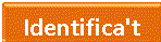 Boto_Identificat.png