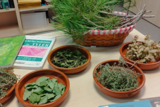 Taller de cosmètica natural: salut per la teva pell! Taller de cosmètica natural: salut per la teva pell!