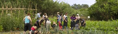 Jornada a l'EEABB: Enginy i Innovació contra el malbaratament alimentari.