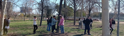 Joves de Viladecans mesuren un any més els arbres de la ciutat per quantificar el carboni que emmagatzemen.