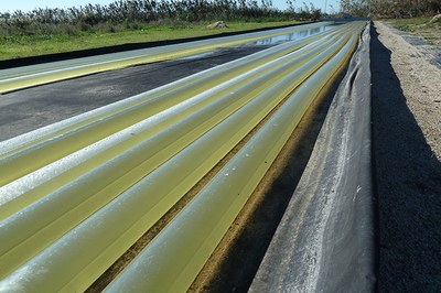 L'Agròpolis de Viladecans acull una planta de generació de bioproductes