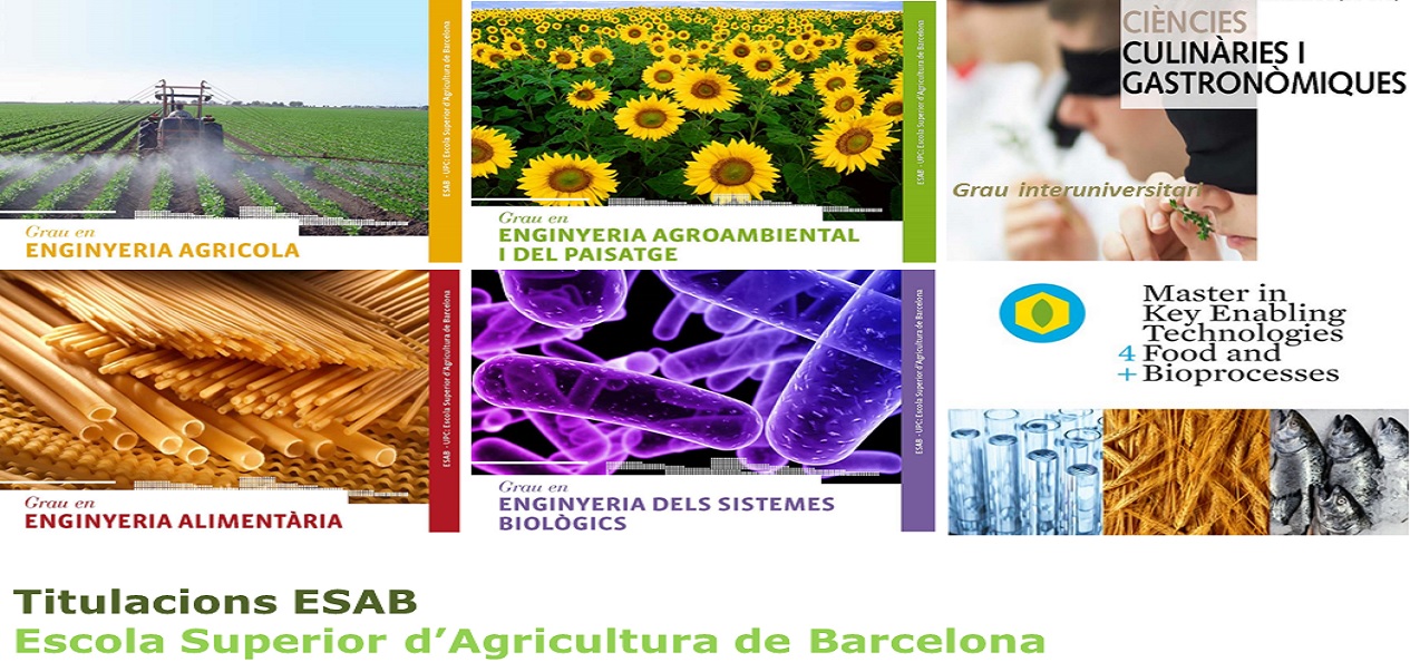 Titulacions_ESAB